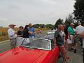 Chat. Bleu 2017_(221)